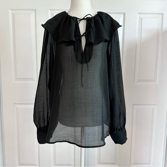 H&M Tops - H&M Black Long Sleeve Sheer Blouse with Ruffle Collar